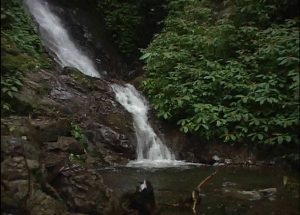 AQQUA 01 (21)